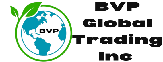 bvp-global.com